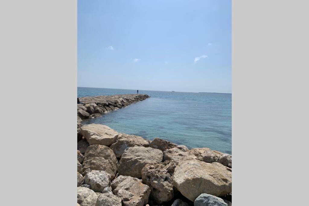 Juan Les Pins Joli T2 Parking Inclus! Διαμέρισμα Αντίμπ Εξωτερικό φωτογραφία