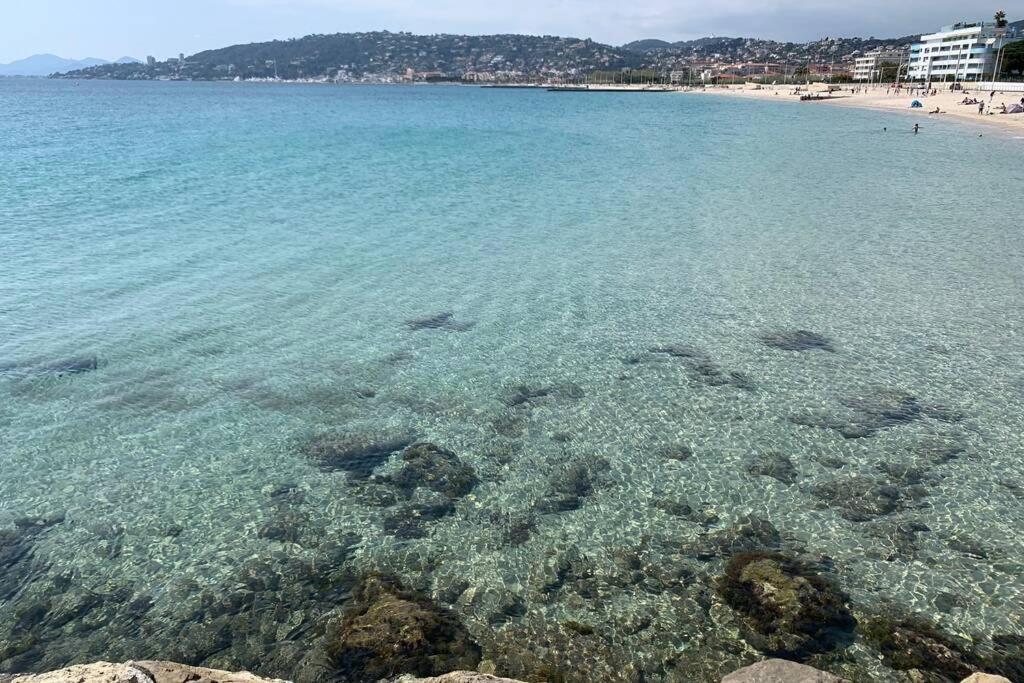 Juan Les Pins Joli T2 Parking Inclus! Διαμέρισμα Αντίμπ Εξωτερικό φωτογραφία