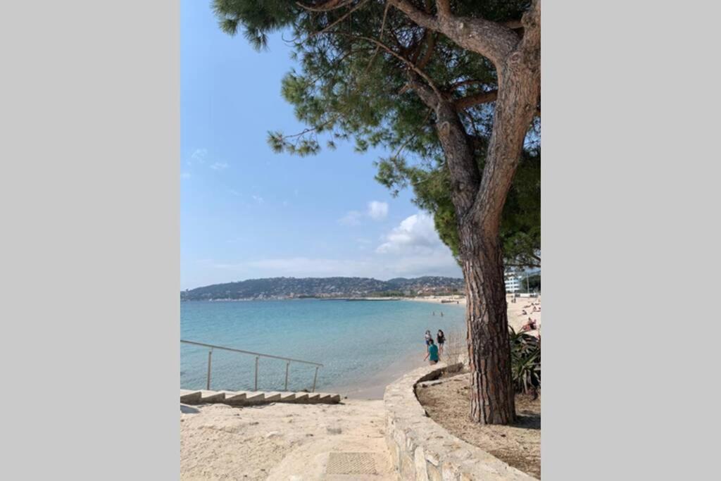 Juan Les Pins Joli T2 Parking Inclus! Διαμέρισμα Αντίμπ Εξωτερικό φωτογραφία